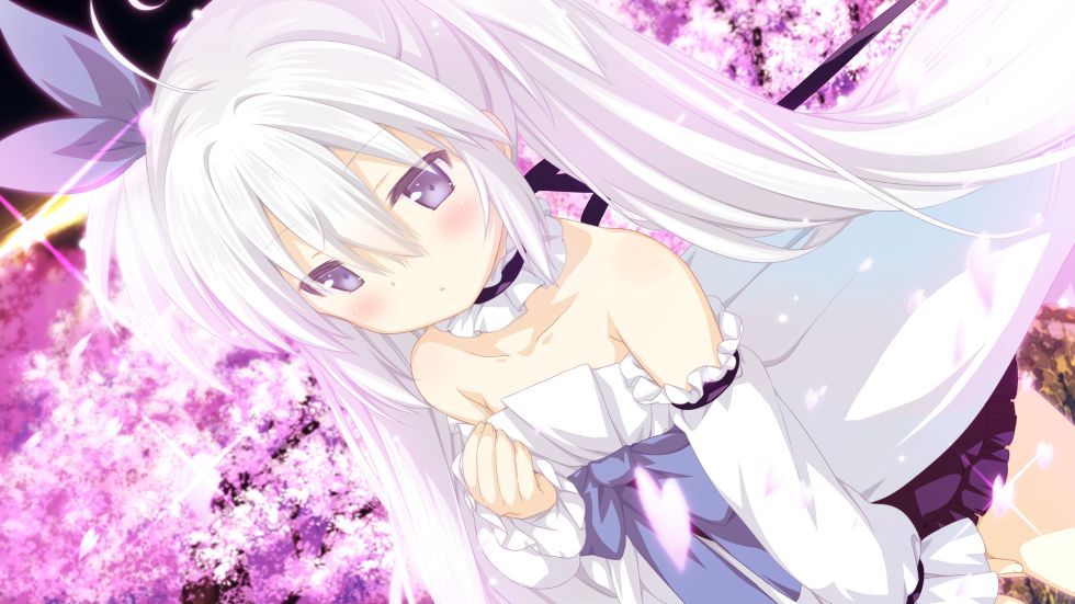 终于不再“摸鱼”，《樱花萌放》官中上架Steam！