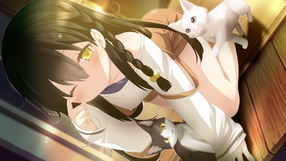 终于不再“摸鱼”，《樱花萌放》官中上架Steam！