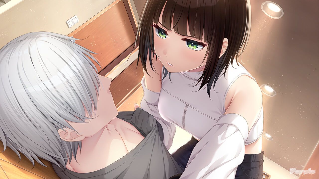 谎言与错误交织的甜蜜骗局？紫社新作将于6月26日发售！